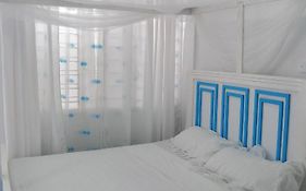 Peace Nest